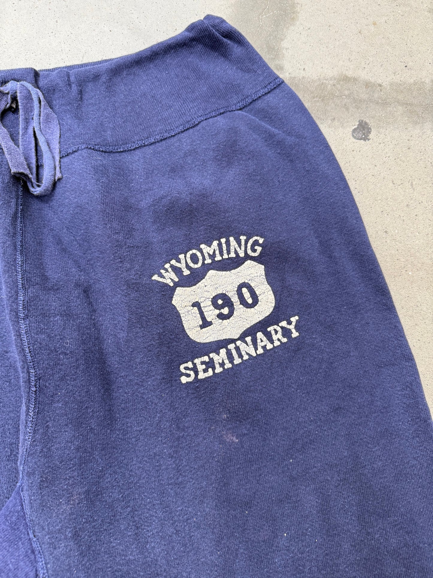 1950s Wyoming Seminary Flocked Sweatpants - M