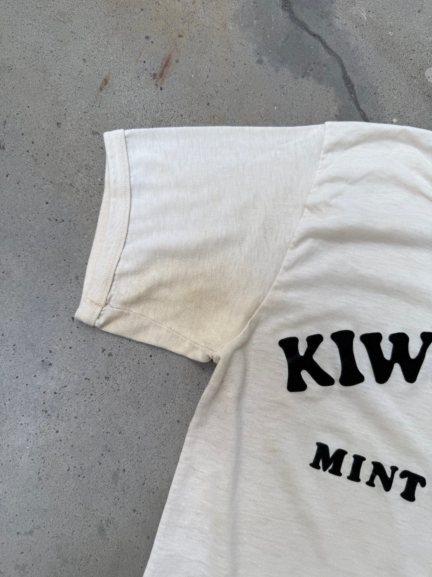 1980s Kiwi Farms Tee - L